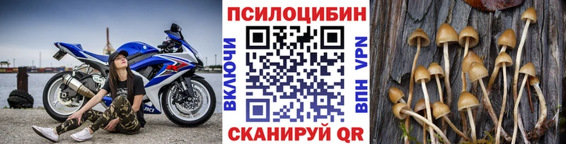 МЕГА вход Поворино Галлюциногенные грибы прущие грибы